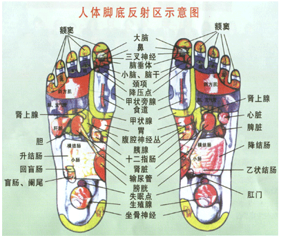 微信截图_20200513210626.png