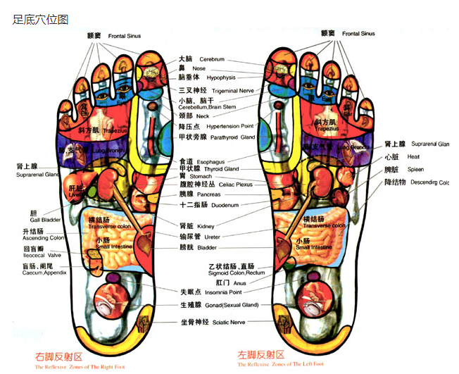 微信截图_20200513210610.png